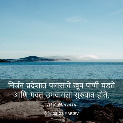 Picture 03 - ईयोब 38:27 MARIRV - निर्जन प्रदेशात - Bible Verse Picture