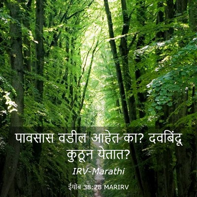 Picture 03 - ईयोब 38:28 MARIRV - पावसास वडील आहेत - Bible Verse Picture