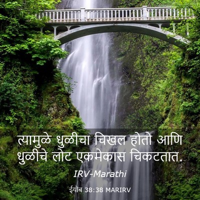 Picture 03 - ईयोब 38:38 MARIRV - त्यामुळे धुळीचा - Bible Verse Picture
