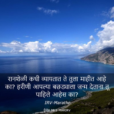 Picture 03 - ईयोब 39:1 MARIRV - रानशेळी कधी - Bible Verse Picture