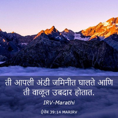 Picture 03 - ईयोब 39:14 MARIRV - ती आपली अंडी - Bible Verse Picture
