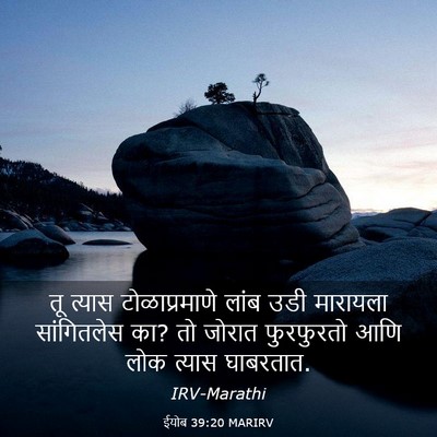 Picture 03 - ईयोब 39:20 MARIRV - तू त्यास - Bible Verse Picture