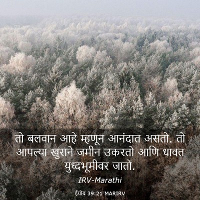 Picture 03 - ईयोब 39:21 MARIRV - तो बलवान आहे - Bible Verse Picture