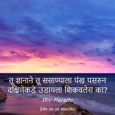 Picture 03 - ईयोब 39:26 MARIRV - तू ज्ञानाने तू - Bible Verse Picture