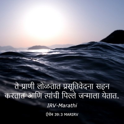 Picture 03 - ईयोब 39:3 MARIRV - ते प्राणी लोळतात - Bible Verse Picture