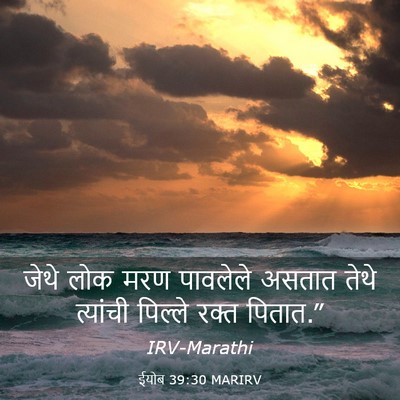 Picture 03 - ईयोब 39:30 MARIRV - जेथे लोक मरण - Bible Verse Picture