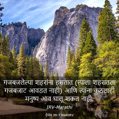 Picture 03 - ईयोब 39:7 MARIRV - गजबजलेल्या - Bible Verse Picture