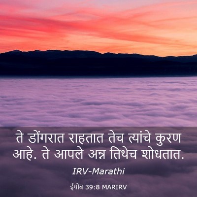 Picture 03 - ईयोब 39:8 MARIRV - ते डोंगरात राहतात - Bible Verse Picture