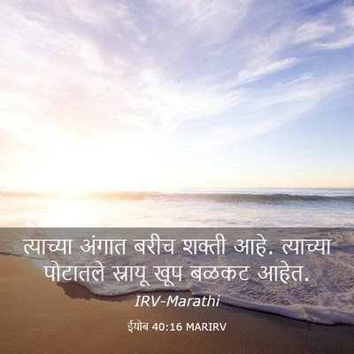 Picture 03 - ईयोब 40:16 MARIRV - त्याच्या अंगात - Bible Verse Picture