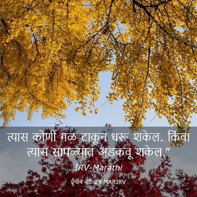 Picture 03 - ईयोब 40:24 MARIRV - त्यास कोणी गळ - Bible Verse Picture