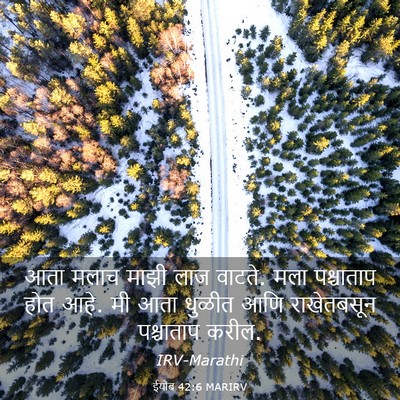 Picture 03 - ईयोब 42:6 MARIRV - आता मलाच माझी लाज - Bible Verse Picture