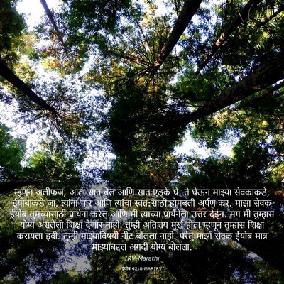 Picture 03 - ईयोब 42:8 MARIRV - म्हणून अलीफज, आता - Bible Verse Picture