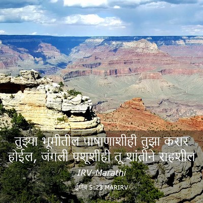 Picture 03 - ईयोब 5:23 MARIRV - तुझ्या भूमीतील - Bible Verse Picture