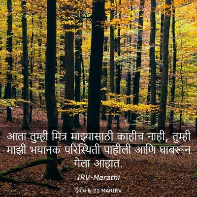Picture 03 - ईयोब 6:21 MARIRV - आता तुम्ही मित्र - Bible Verse Picture