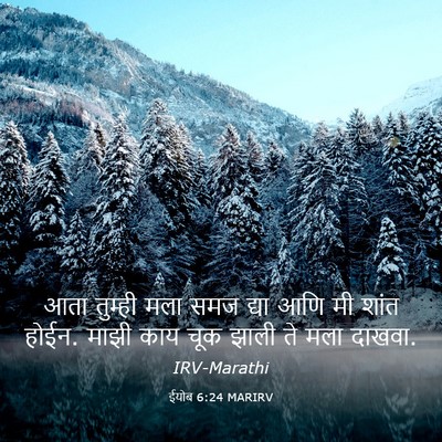 Picture 03 - ईयोब 6:24 MARIRV - आता तुम्ही मला समज - Bible Verse Picture