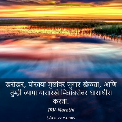 Picture 03 - ईयोब 6:27 MARIRV - खरोखर, पोरक्या - Bible Verse Picture