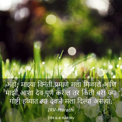 Picture 03 - ईयोब 6:8 MARIRV - अहो, माझ्या विनंती - Bible Verse Picture
