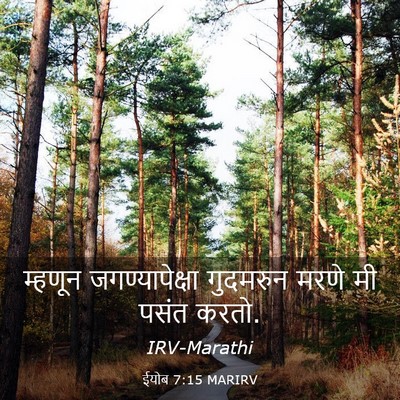Picture 03 - ईयोब 7:15 MARIRV - म्हणून - Bible Verse Picture