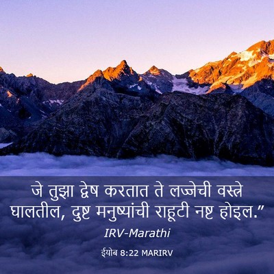 Picture 03 - ईयोब 8:22 MARIRV - जे तुझा द्वेष - Bible Verse Picture