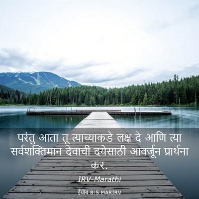 Picture 03 - ईयोब 8:5 MARIRV - परंतु आता तू - Bible Verse Picture