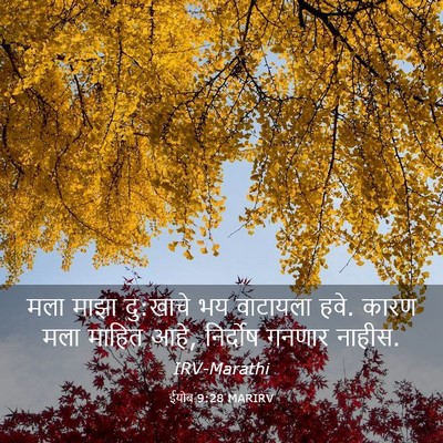 Picture 03 - ईयोब 9:28 MARIRV - मला माझा दु:खाचे भय - Bible Verse Picture