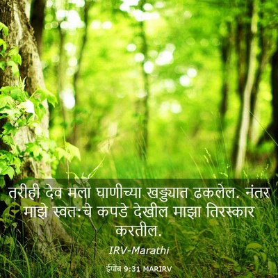 Picture 03 - ईयोब 9:31 MARIRV - तरीही देव मला - Bible Verse Picture