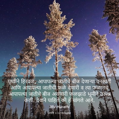 Picture 03 - उत्पत्ति 1:12 MARIRV - पृथ्वीने हिरवळ, - Bible Verse Picture