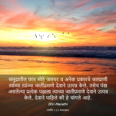 Picture 03 - उत्पत्ति 1:21 MARIRV - समुद्रातील फार - Bible Verse Picture