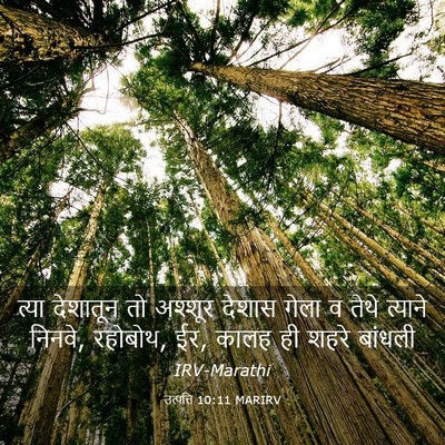 Picture 03 - उत्पत्ति 10:11 MARIRV - त्या देशातून तो - Bible Verse Picture