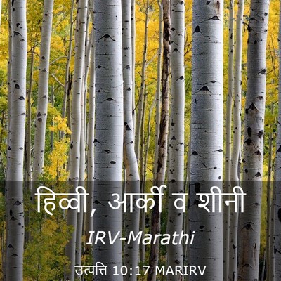 Picture 03 - उत्पत्ति 10:17 MARIRV - हिव्वी, आर्की व - Bible Verse Picture