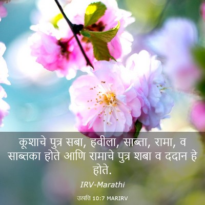 Picture 03 - उत्पत्ति 10:7 MARIRV - कूशाचे पुत्र सबा, - Bible Verse Picture