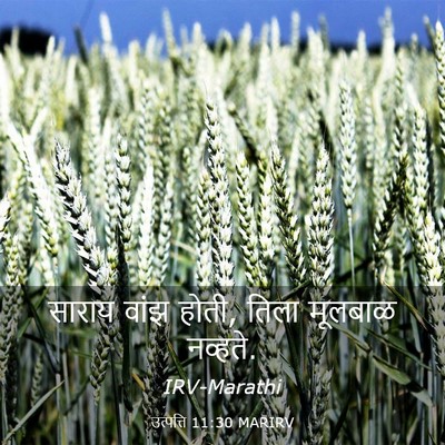Picture 03 - उत्पत्ति 11:30 MARIRV - साराय वांझ होती, - Bible Verse Picture
