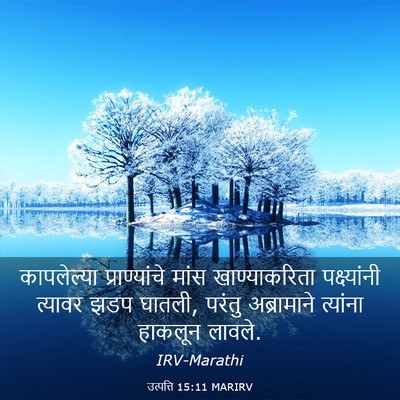 Picture 03 - उत्पत्ति 15:11 MARIRV - कापलेल्या - Bible Verse Picture