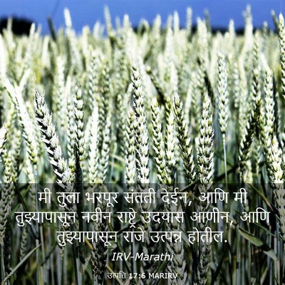 Picture 03 - उत्पत्ति 17:6 MARIRV - मी तुला भरपूर - Bible Verse Picture