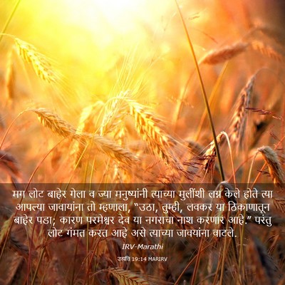 Picture 03 - उत्पत्ति 19:14 MARIRV - मग लोट बाहेर गेला व - Bible Verse Picture