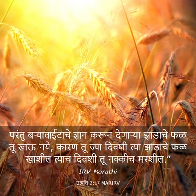 Picture 03 - उत्पत्ति 2:17 MARIRV - परंतु - Bible Verse Picture