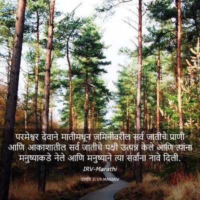 Picture 03 - उत्पत्ति 2:19 MARIRV - परमेश्वर देवाने - Bible Verse Picture