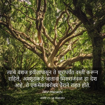 Picture 03 - उत्पत्ति 25:18 MARIRV - त्याचे वंशज - Bible Verse Picture