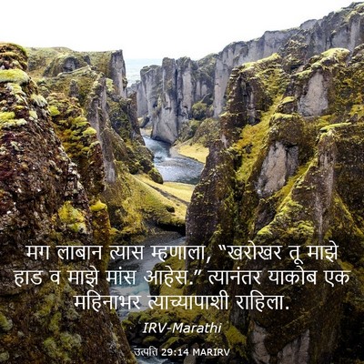 Picture 03 - उत्पत्ति 29:14 MARIRV - मग लाबान त्यास - Bible Verse Picture