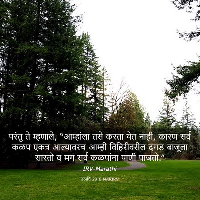 Picture 03 - उत्पत्ति 29:8 MARIRV - परंतु ते म्हणाले, - Bible Verse Picture
