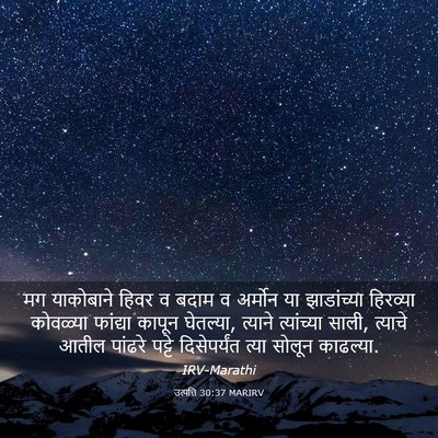 Picture 03 - उत्पत्ति 30:37 MARIRV - मग याकोबाने हिवर व - Bible Verse Picture