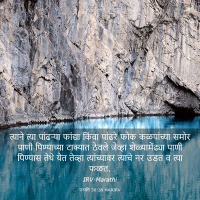 Picture 03 - उत्पत्ति 30:38 MARIRV - त्याने त्या - Bible Verse Picture