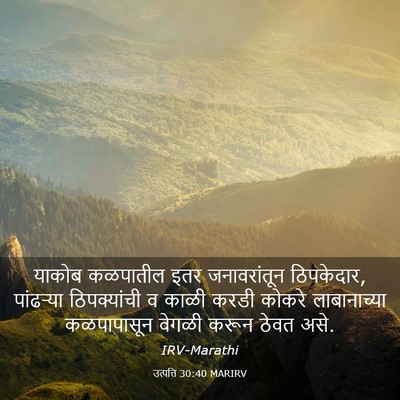 Picture 03 - उत्पत्ति 30:40 MARIRV - याकोब कळपातील इतर - Bible Verse Picture