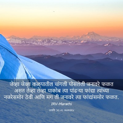 Picture 03 - उत्पत्ति 30:41 MARIRV - जेव्हा जेव्हा - Bible Verse Picture