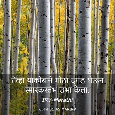 Picture 03 - उत्पत्ति 31:45 MARIRV - तेव्हा याकोबाने - Bible Verse Picture