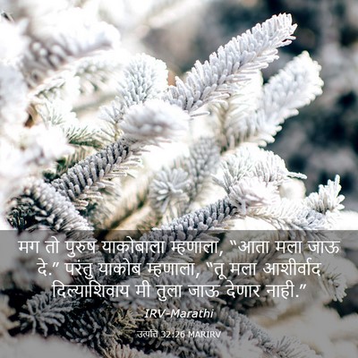 Picture 03 - उत्पत्ति 32:26 MARIRV - मग तो पुरुष - Bible Verse Picture