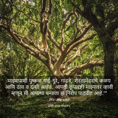 Picture 03 - उत्पत्ति 32:5 MARIRV - माझ्यापाशी पुष्कळ - Bible Verse Picture