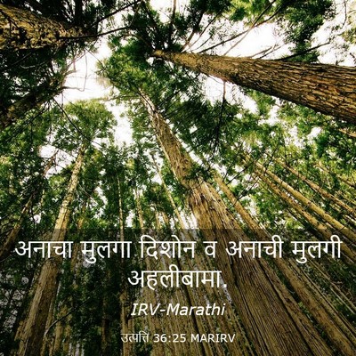 Picture 03 - उत्पत्ति 36:25 MARIRV - अनाचा मुलगा दिशोन - Bible Verse Picture