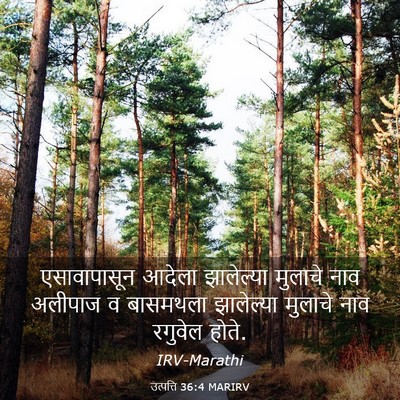 Picture 03 - उत्पत्ति 36:4 MARIRV - एसावापासून आदेला - Bible Verse Picture