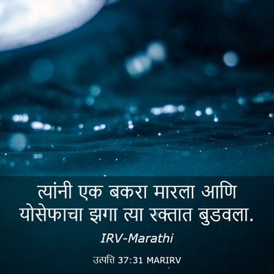 Picture 03 - उत्पत्ति 37:31 MARIRV - त्यांनी एक बकरा - Bible Verse Picture